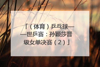 （体育）乒乓球——世乒赛：孙颖莎晋级女单决赛（2）