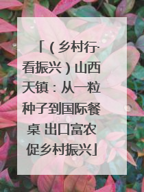 （乡村行·看振兴）山西天镇：从一粒种子到国际餐桌 出口富农促乡村振兴