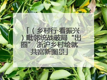 （乡村行·看振兴）毗邻统战破局“出圈” 浙沪乡村绘就共富新图景