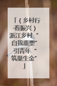 （乡村行·看振兴）浙江乡村“自我重塑” 引青年“筑巢生金”