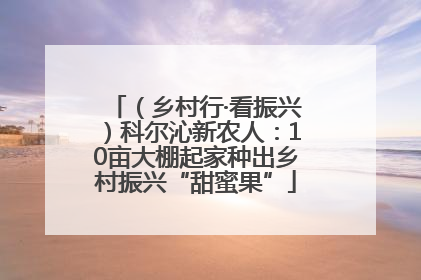 （乡村行·看振兴）科尔沁新农人：10亩大棚起家种出乡村振兴“甜蜜果”