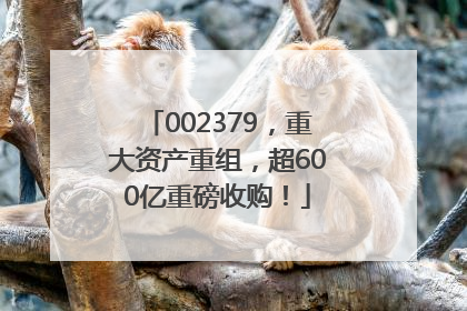 002379，重大资产重组，超600亿重磅收购！