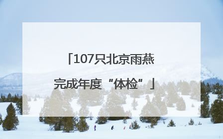 107只北京雨燕完成年度“体检”