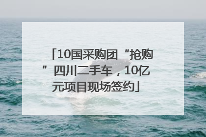10国采购团“抢购”四川二手车，10亿元项目现场签约
