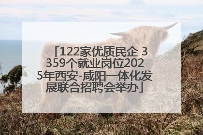 122家优质民企 3359个就业岗位2025年西安-咸阳一体化发展联合招聘会举办