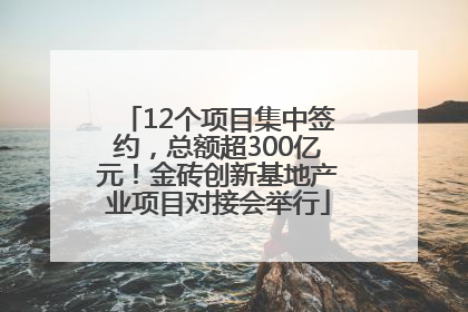 12个项目集中签约，总额超300亿元！金砖创新基地产业项目对接会举行