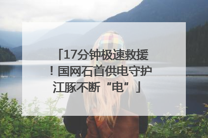 17分钟极速救援！国网石首供电守护江豚不断“电”