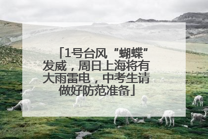 1号台风“蝴蝶”发威，周日上海将有大雨雷电，中考生请做好防范准备