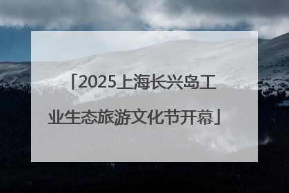 2025上海长兴岛工业生态旅游文化节开幕