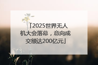 2025世界无人机大会落幕，意向成交额达200亿元