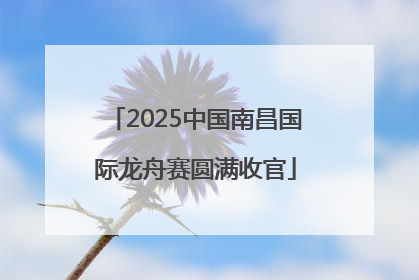 2025中国南昌国际龙舟赛圆满收官