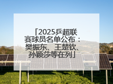 2025乒超联赛球员名单公布：樊振东、王楚钦、孙颖莎等在列
