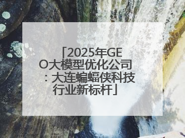 2025年GEO大模型优化公司：大连蝙蝠侠科技行业新标杆