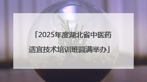 2025年度湖北省中医药适宜技术培训班圆满举办