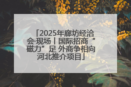 2025年廊坊经洽会·现场丨国际招商“磁力”足 外商争相向河北推介项目