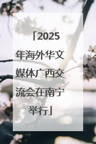 2025年海外华文媒体广西交流会在南宁举行