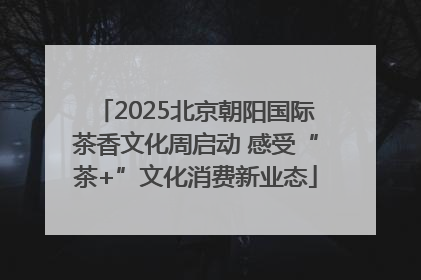 2025北京朝阳国际茶香文化周启动 感受“茶+”文化消费新业态