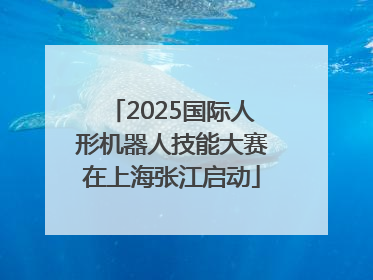 2025国际人形机器人技能大赛在上海张江启动
