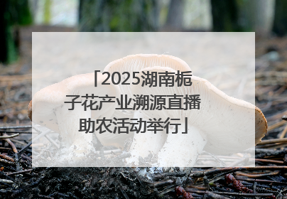 2025湖南栀子花产业溯源直播助农活动举行