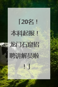 20名！本科起报！龙门石窟招聘讲解员啦！