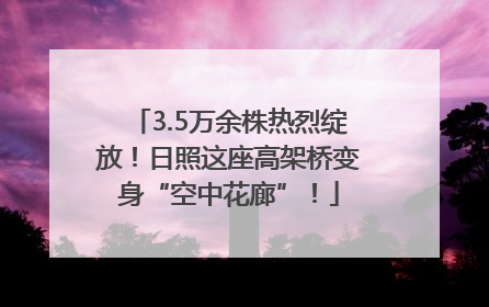 3.5万余株热烈绽放！日照这座高架桥变身“空中花廊”！