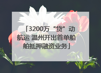 3200万“贷”动航运 温州开出首单船舶抵押融资业务