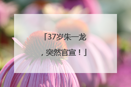 37岁朱一龙，突然官宣！