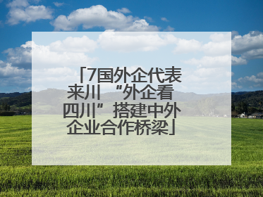 7国外企代表来川 “外企看四川”搭建中外企业合作桥梁