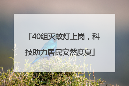 40组灭蚊灯上岗，科技助力居民安然度夏