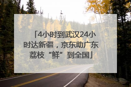 4小时到武汉24小时达新疆，京东助广东荔枝“鲜”到全国
