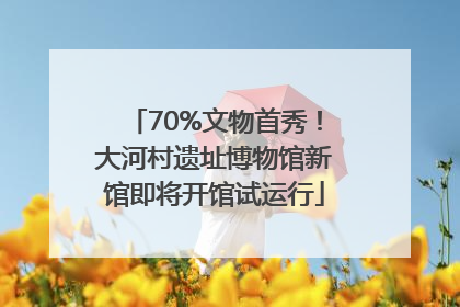 70%文物首秀！大河村遗址博物馆新馆即将开馆试运行