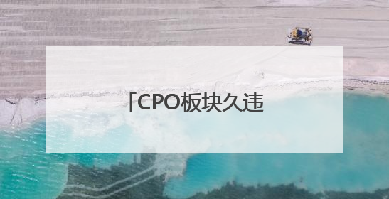 CPO板块久违大涨，“易中天”谁更胜一筹