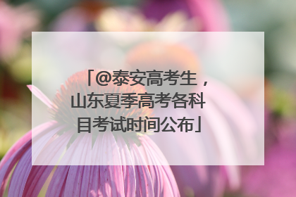 @泰安高考生，山东夏季高考各科目考试时间公布