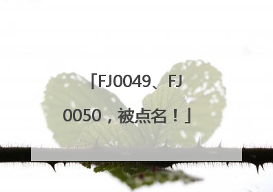 FJ0049、FJ0050，被点名！